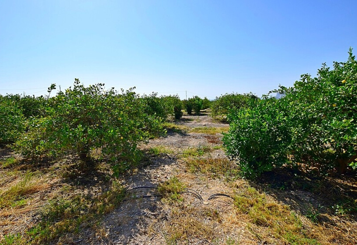 Rynek wtórny · Country house · Albatera