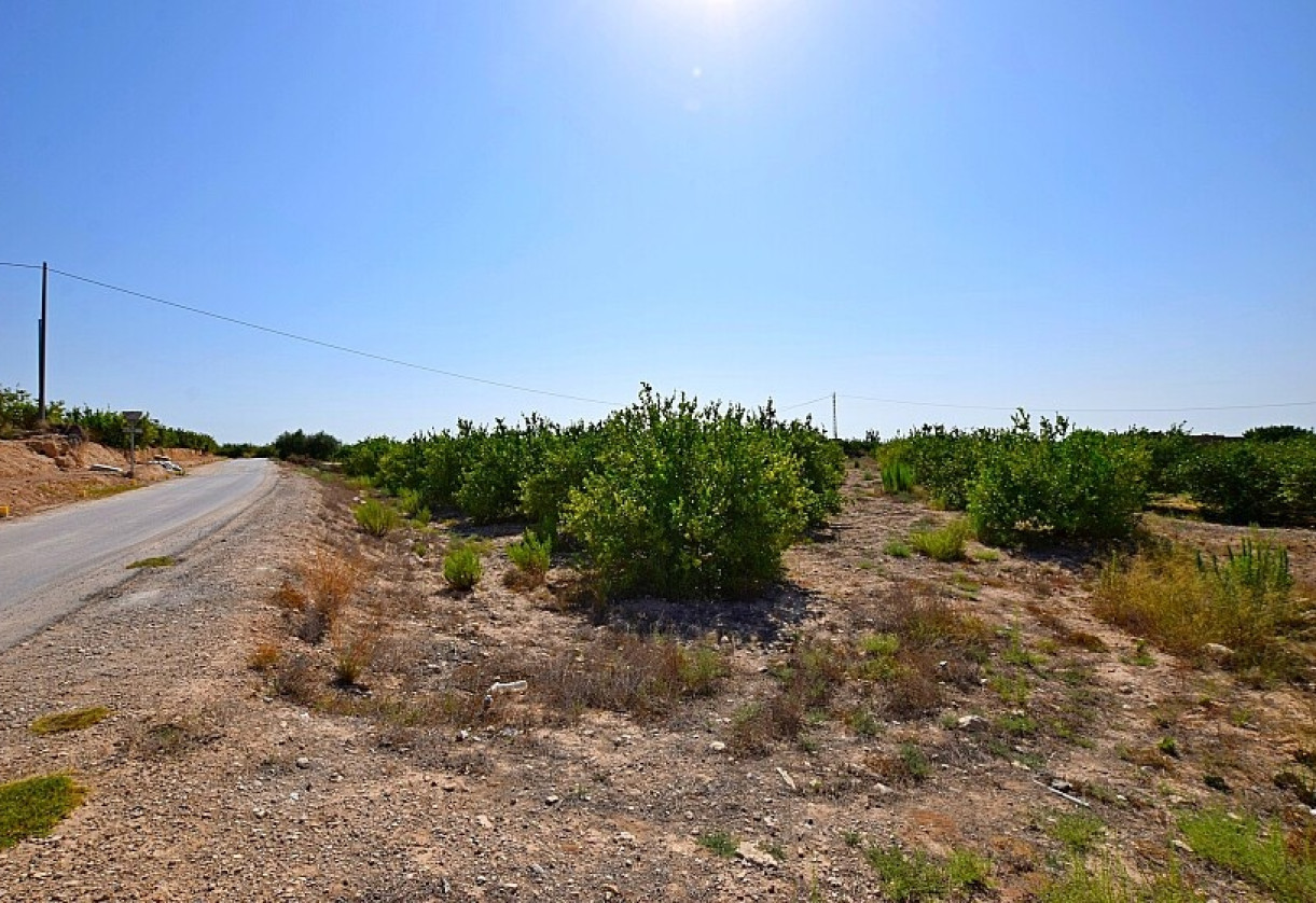 Rynek wtórny · Country house · Albatera