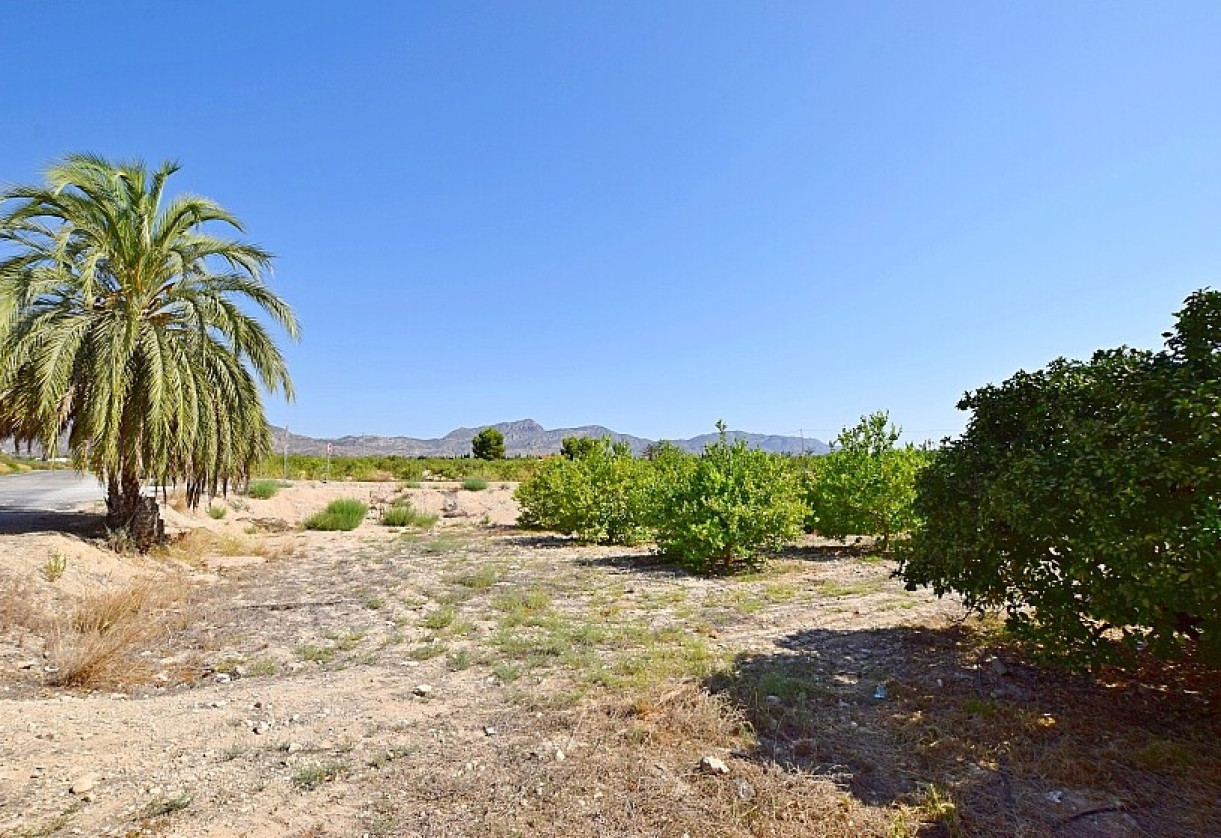 Rynek wtórny · Country house · Albatera