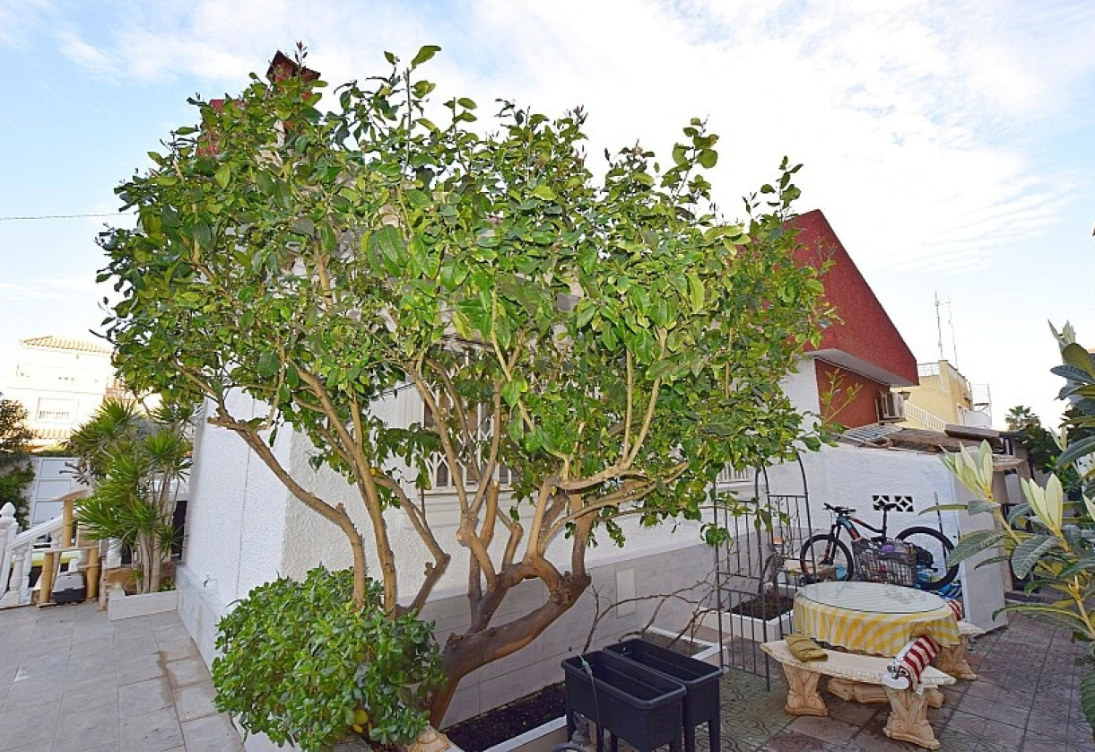 Sale · Villa · Torrevieja