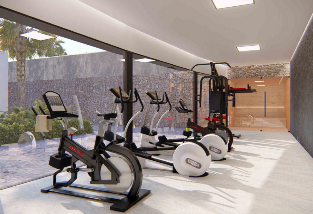 Rynek pierwotny · Apartments · Rojales