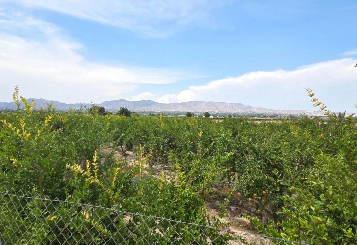 Sale · Plot / Land · San Isidro