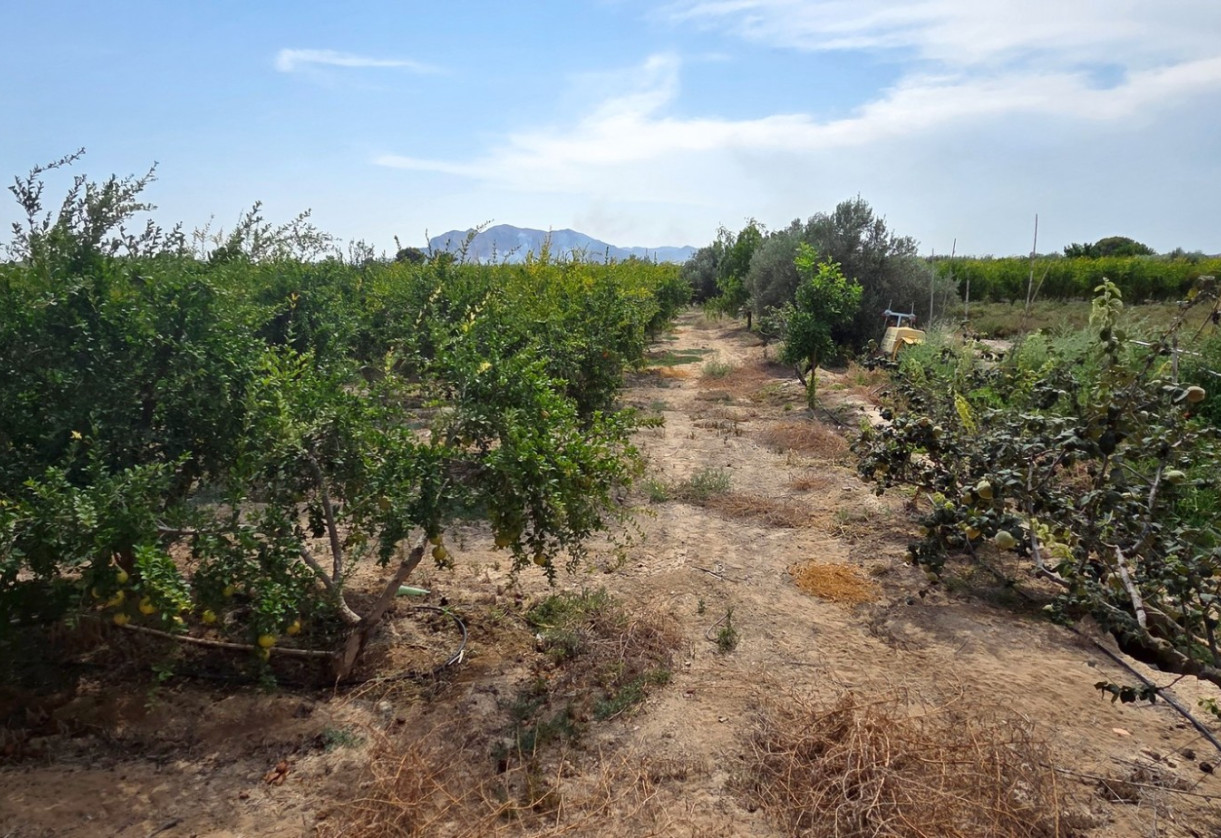 Sale · Plot / Land · San Isidro