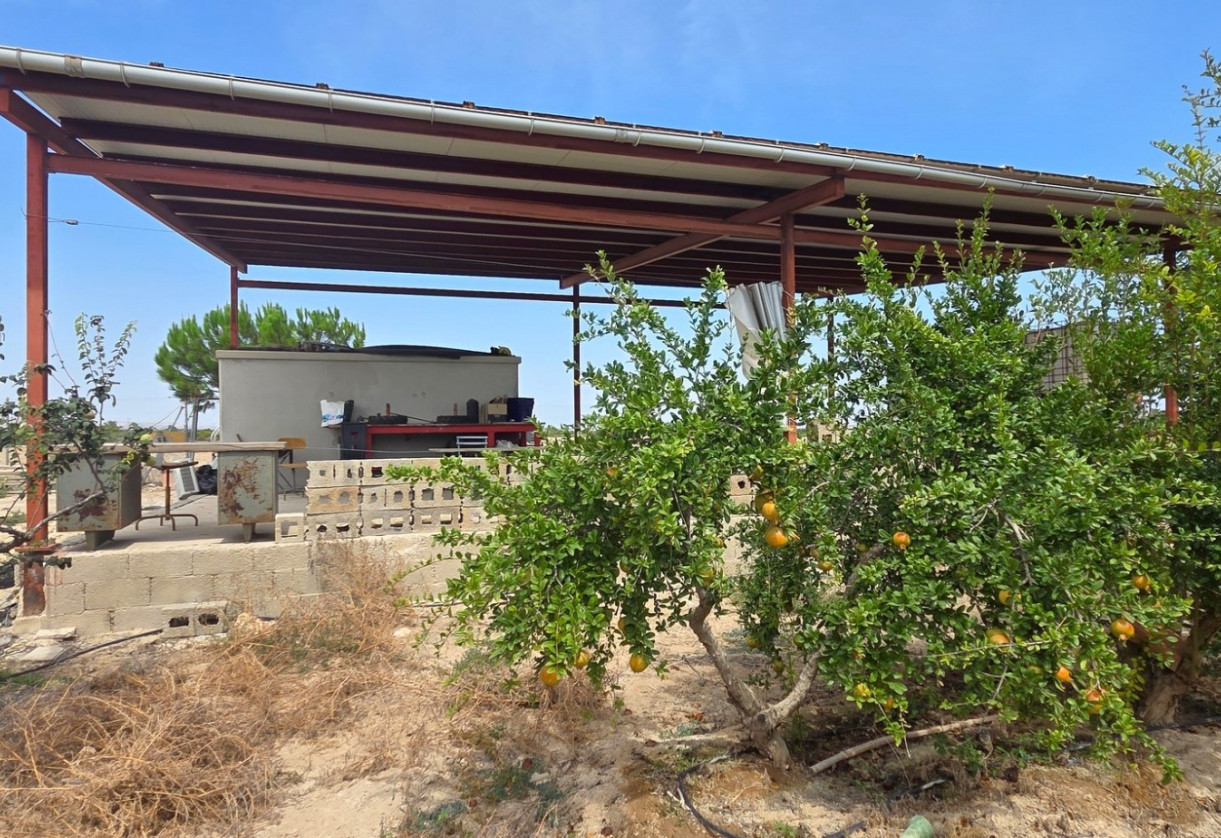 Sale · Plot / Land · San Isidro