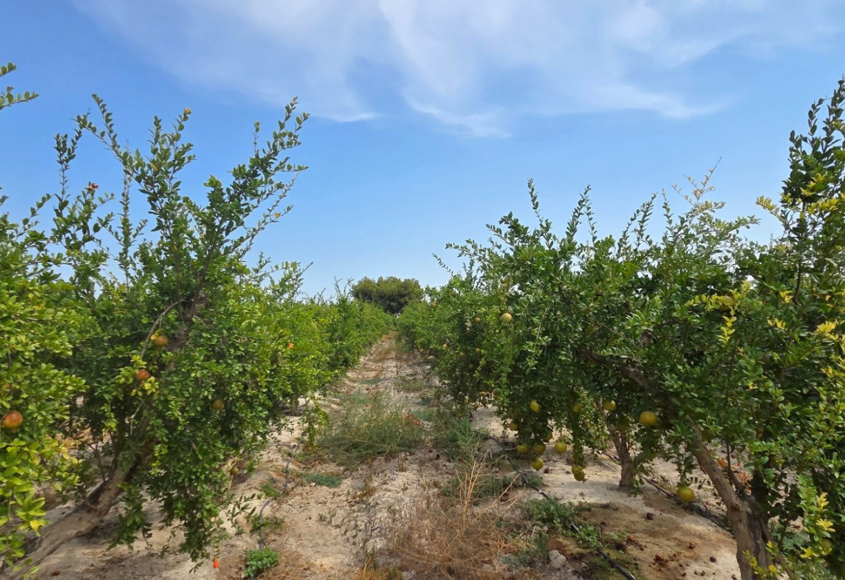 Sale · Plot / Land · San Isidro