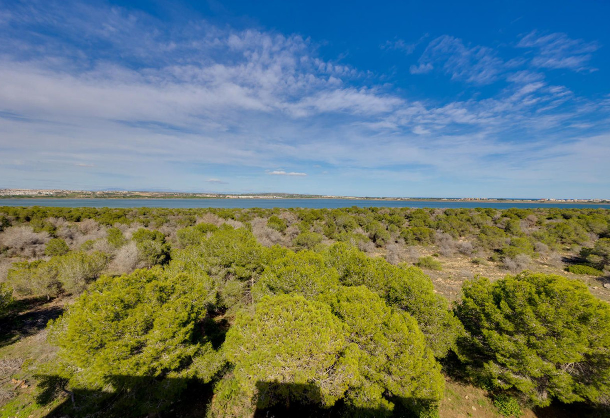 Sale · Apartment · Torrevieja · San Luis