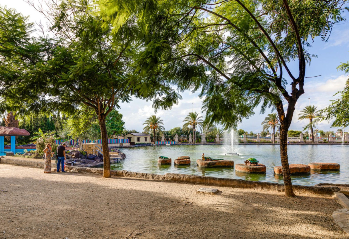 Rynek wtórny · penthouse · Torrevieja · Parque las naciones