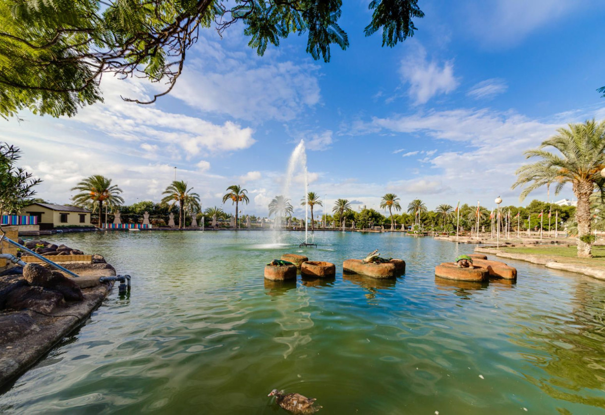 Rynek wtórny · penthouse · Torrevieja · Parque las naciones