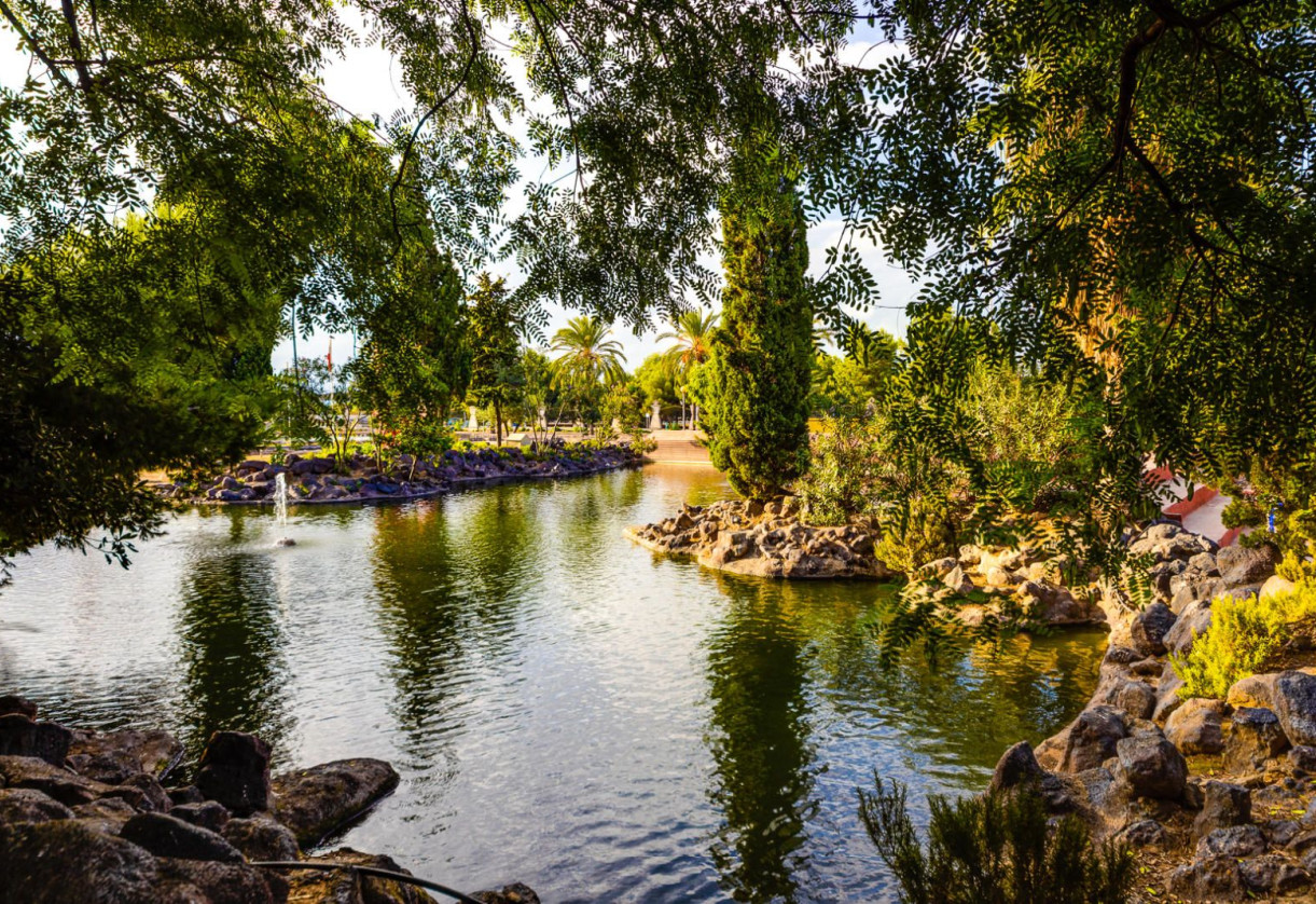 Rynek wtórny · penthouse · Torrevieja · Parque las naciones