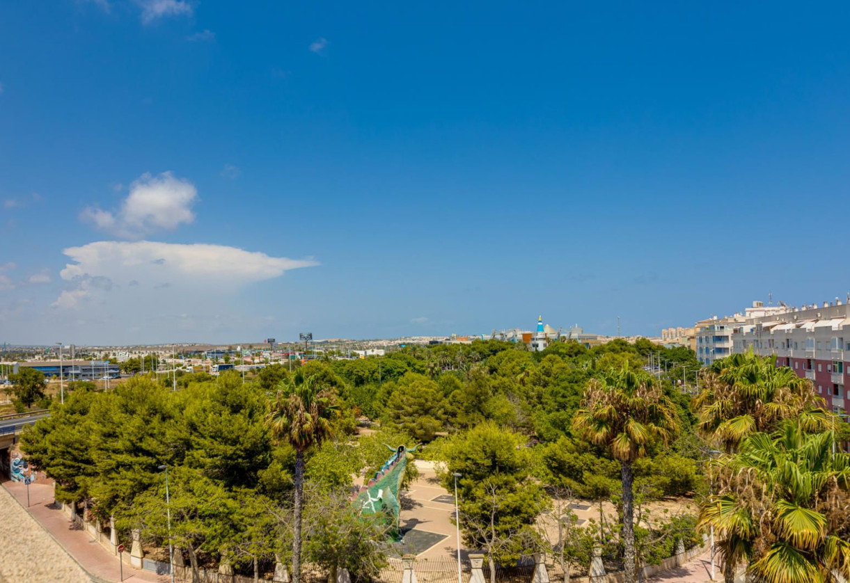 Rynek wtórny · penthouse · Torrevieja · Parque las naciones