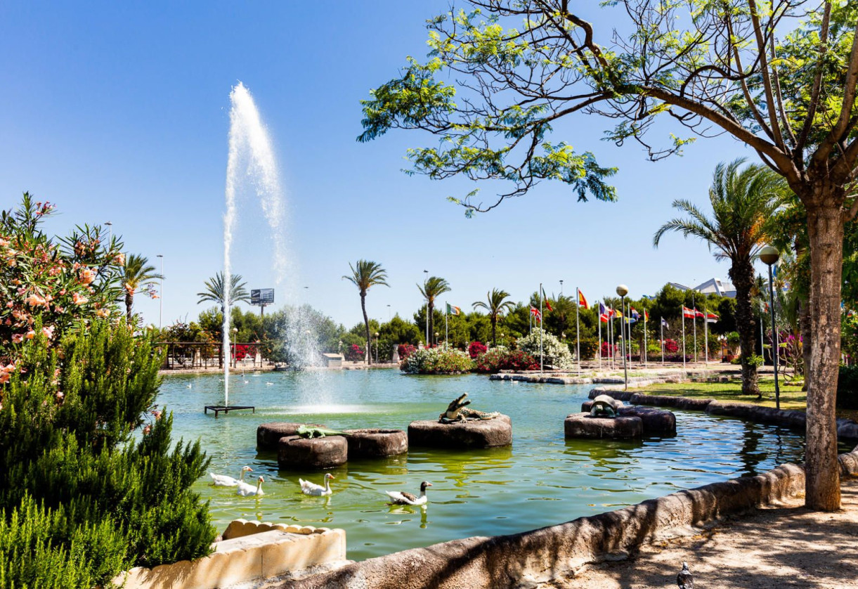 Rynek wtórny · penthouse · Torrevieja · Parque las naciones