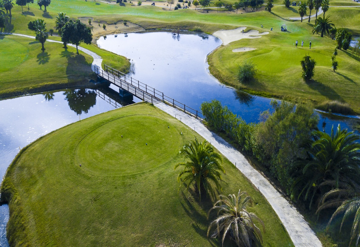 Reventa · Apartment · Entre Naranjos - Vistabella Golf