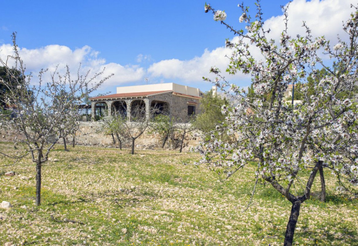 Nueva construcción  · Villas · Fondó de les Neus, el/Hondón de las Nieves · Hondón de las Nieves