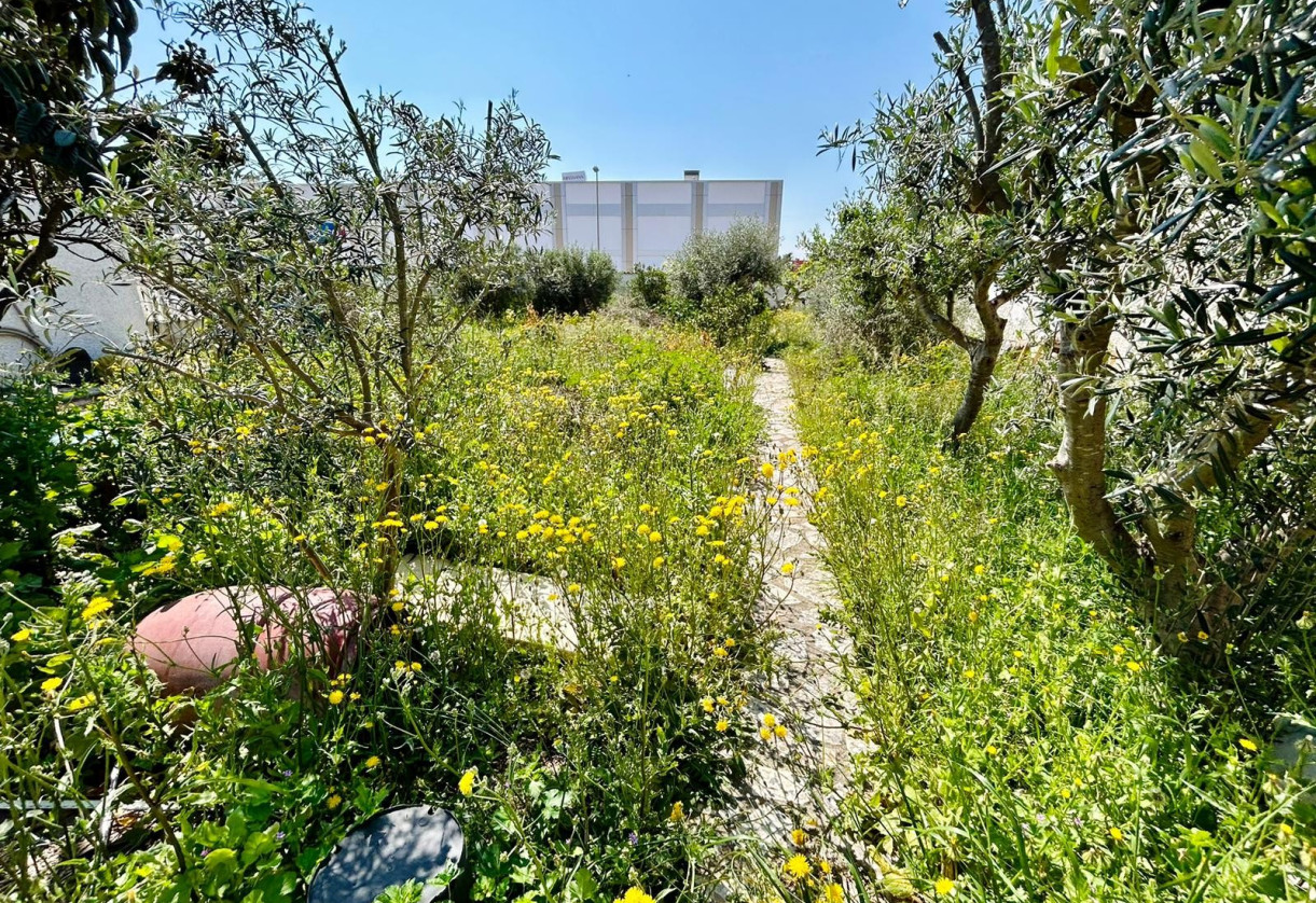 Rynek wtórny · Land · Ciudad Quesada · Rojales