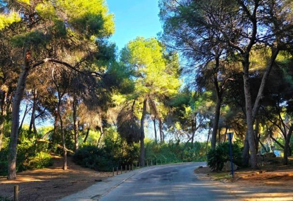 Rynek wtórny · Villa · Dehesa de campoamor · Campoamor