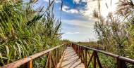 Sale · detached house · San Fulgencio · La Marina