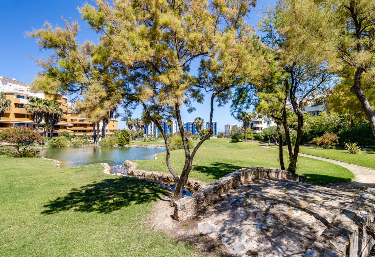 Sale · Apartment · Torrevieja · Punta Prima