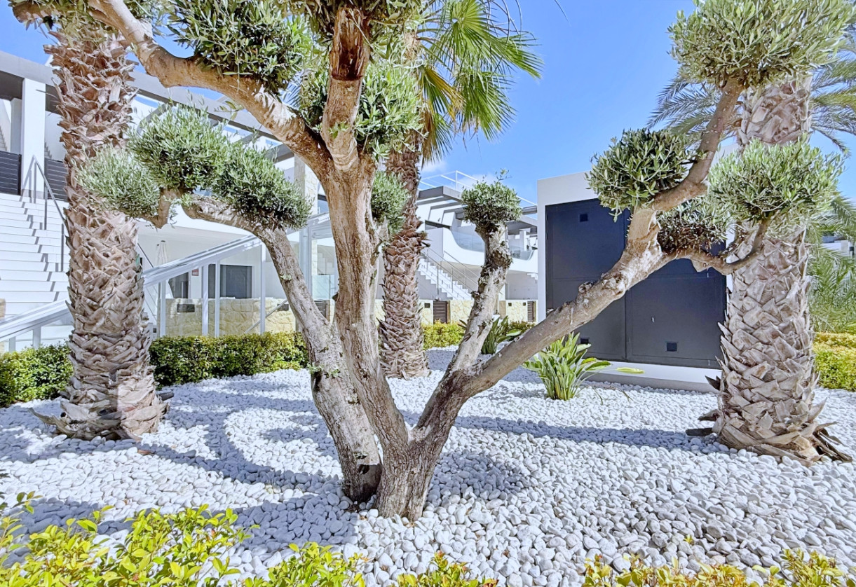 Rynek wtórny · penthouse · Orihuela Costa · Punta Prima