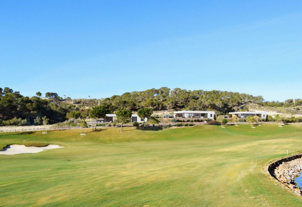 Nueva construcción  · Villas · San Miguel de Salinas