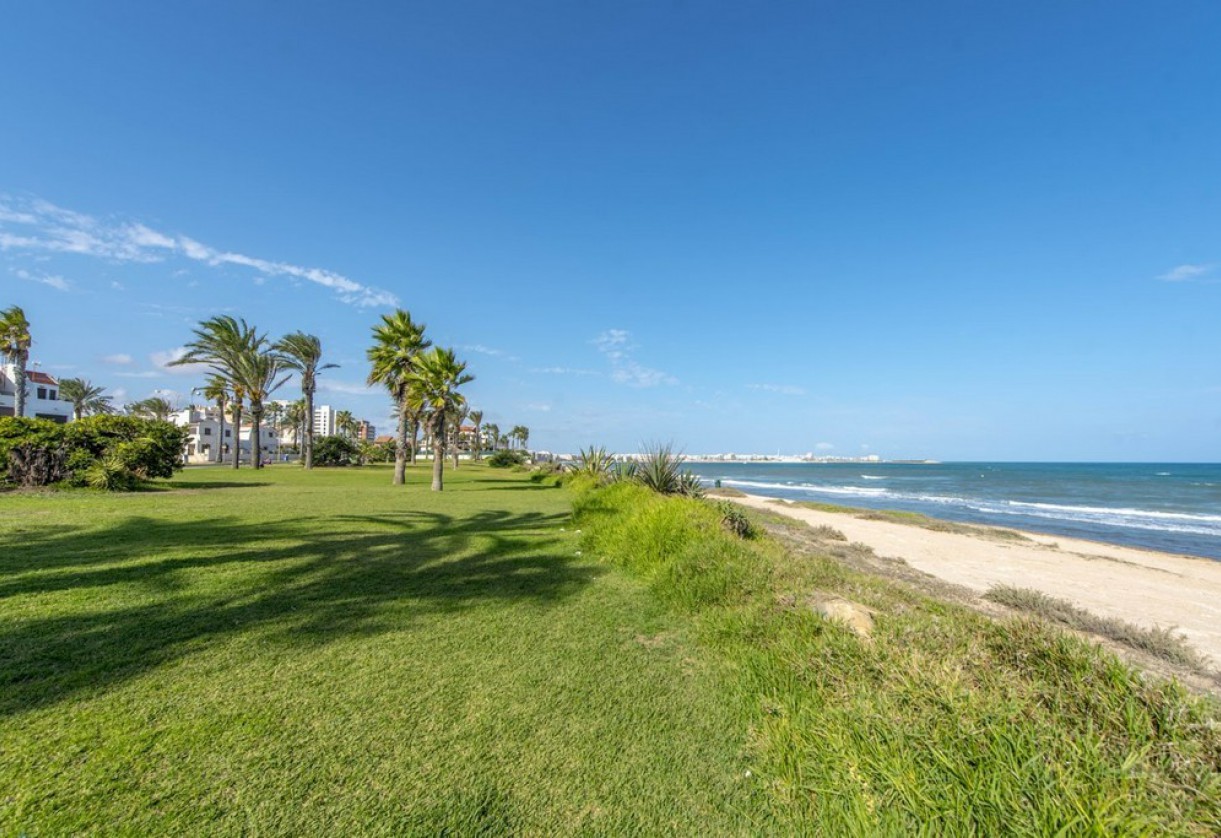 Rynek wtórny · Studios · Torrevieja