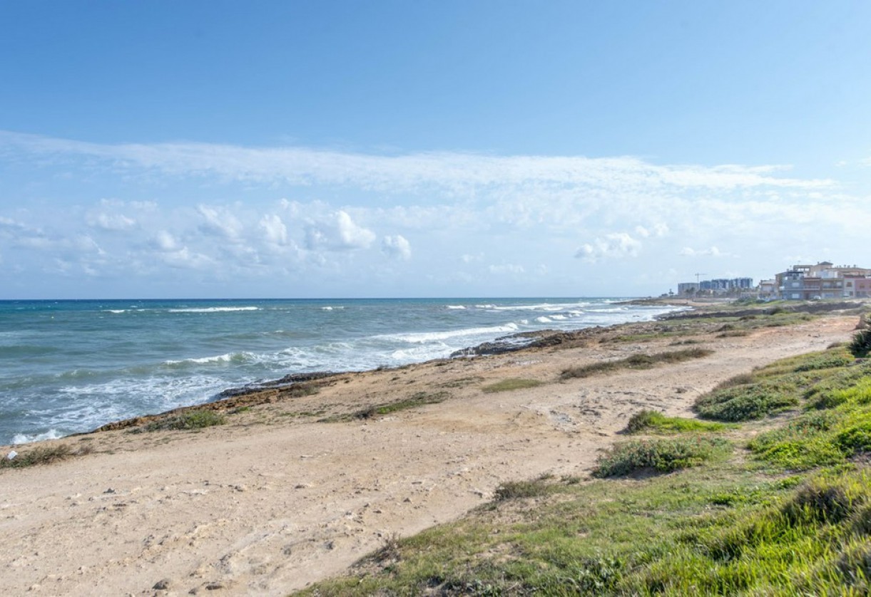 Rynek wtórny · Studios · Torrevieja