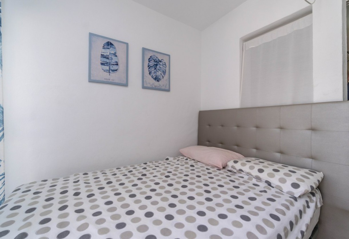 Rynek wtórny · Studios · Torrevieja