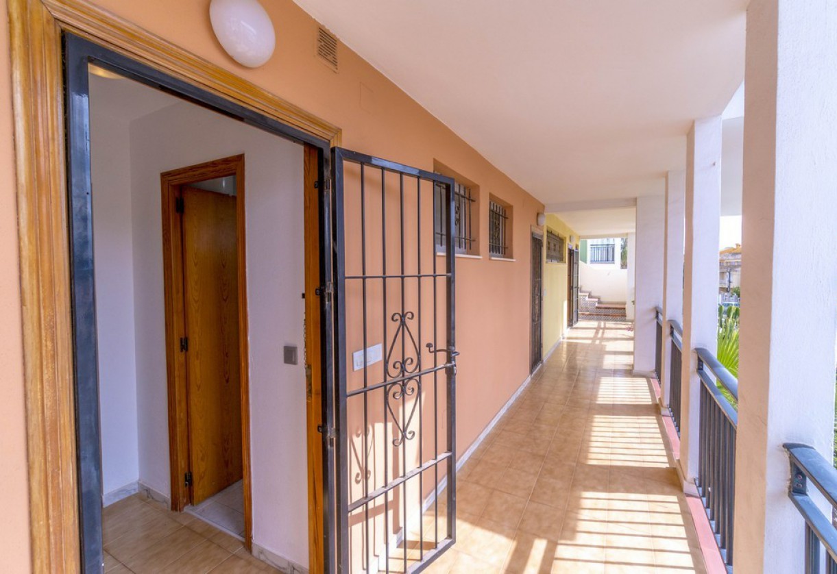 Rynek wtórny · Studios · Torrevieja