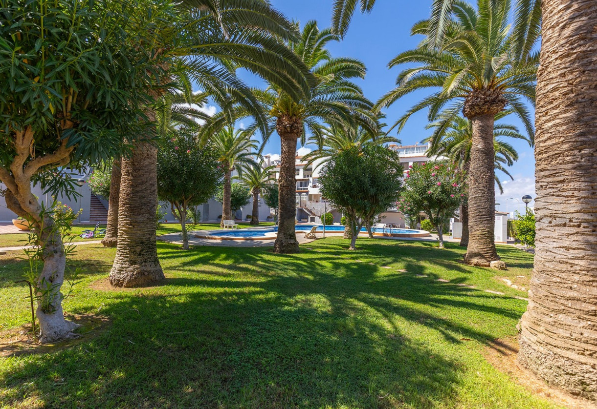 Resale · Apartment - Flat · La Mata