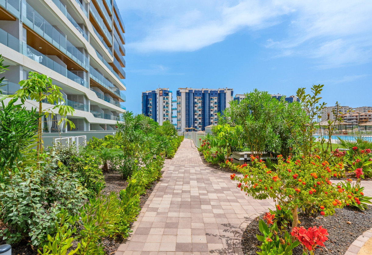 Sale · Apartments · Orihuela Costa · Punta Prima