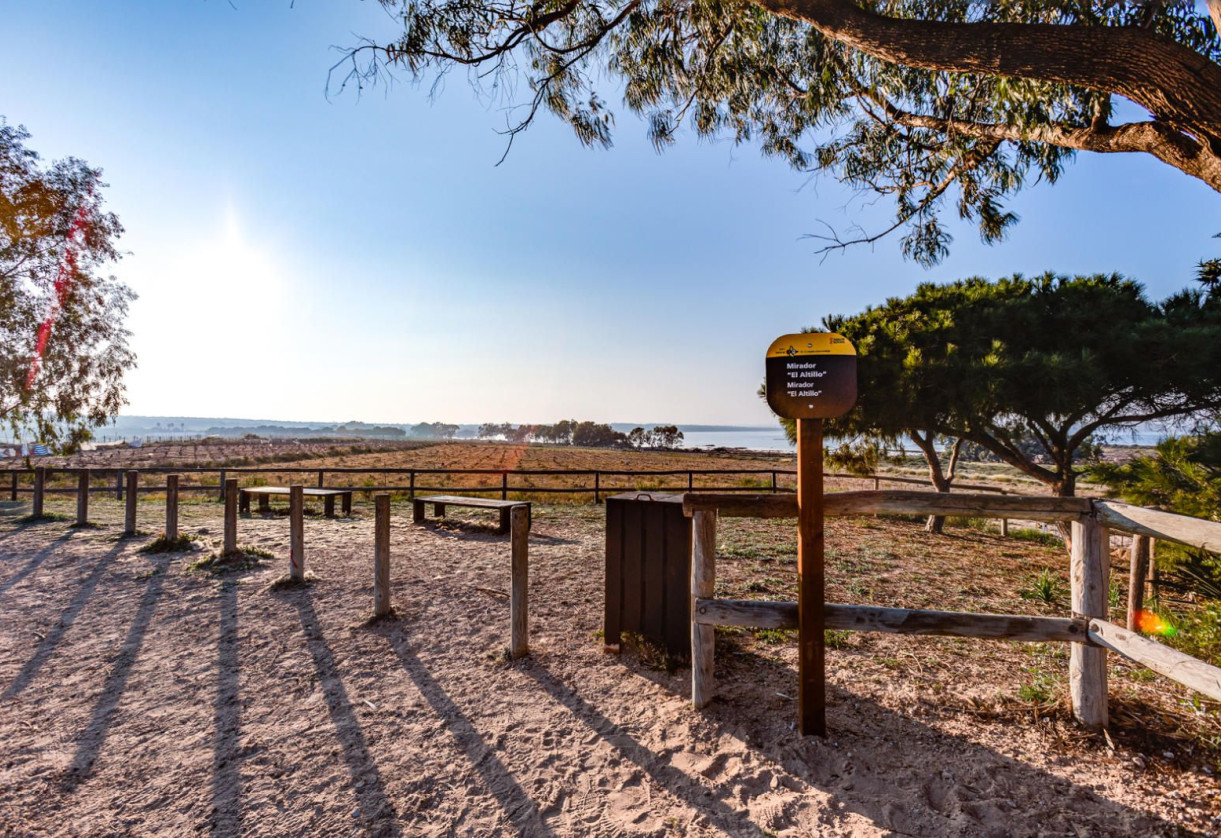 Sale · detached house · Rojales