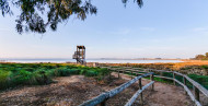 Sale · detached house · Rojales