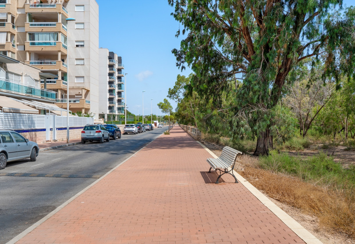 Sale · Apartments · Guardamar del Segura · Guardamar