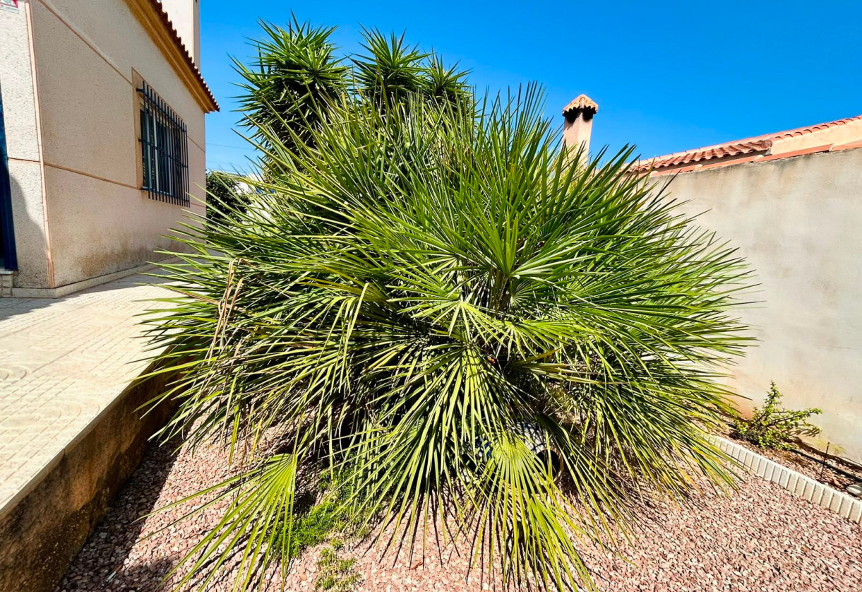 Rynek wtórny · - VILLA · Torrevieja · Urbanización San Luis