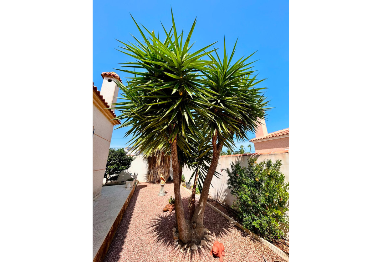 Rynek wtórny · - VILLA · Torrevieja · Urbanización San Luis