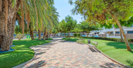 Sale · Apartments · San Pedro del Pinatar · San Pedro del Pinatar Centro