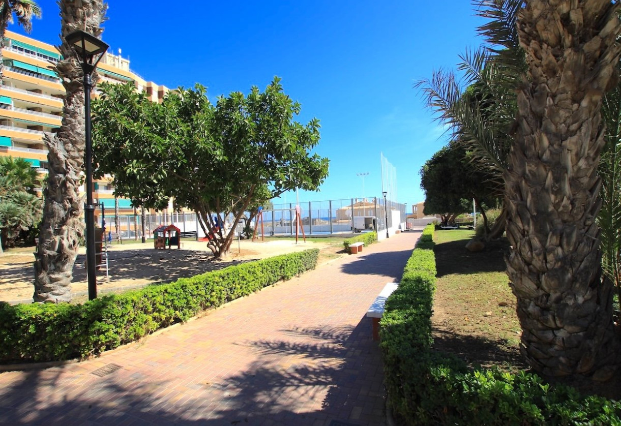 Sale · Apartment · La Mata