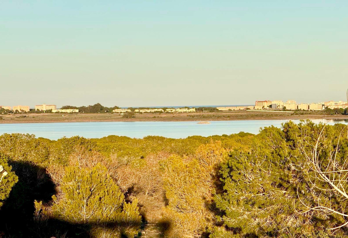 Sale · Townhouse · Torrevieja · LA SIESTA