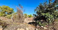 Sale · Townhouse · Torrevieja · LA SIESTA