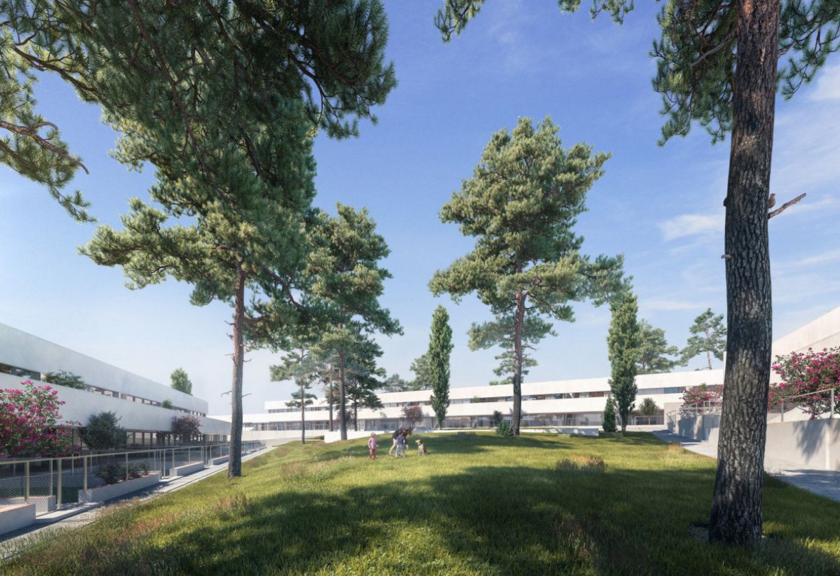 Rynek pierwotny · Penthouses · Torrevieja