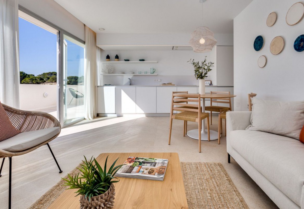 Rynek pierwotny · Penthouses · Torrevieja