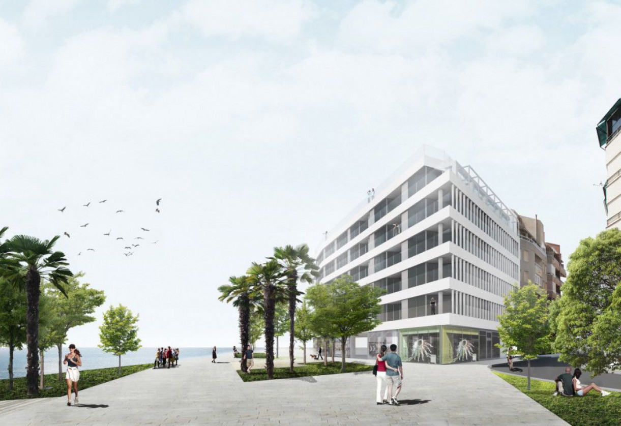 Rynek pierwotny · Penthouses · Torrevieja