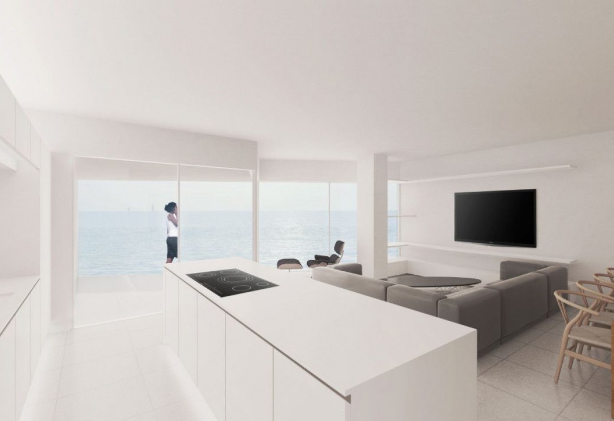 Rynek pierwotny · Penthouses · Torrevieja