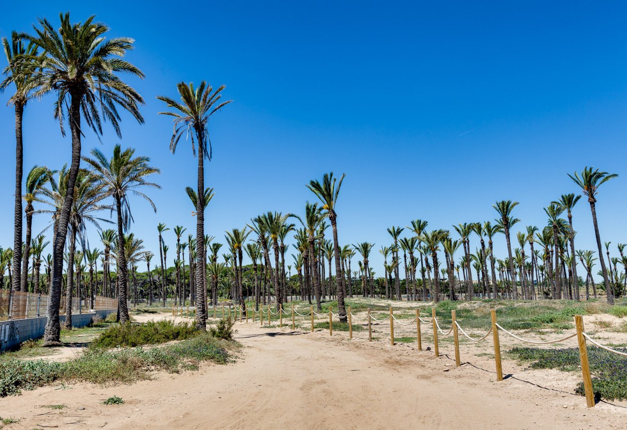 Rynek wtórny · penthouse · Orihuela Costa · Punta Prima