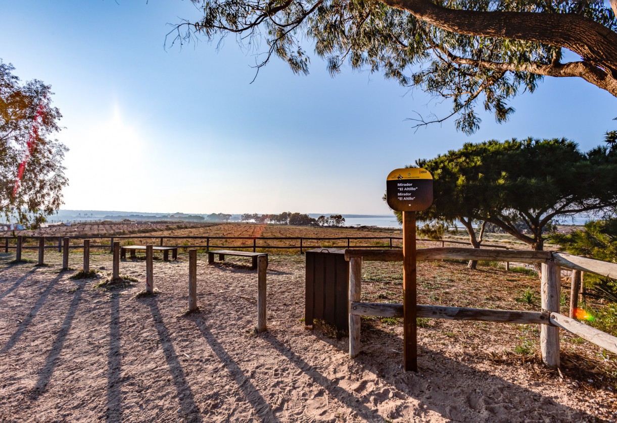 Sale · Chalets Pareados · Torrevieja · El Limonar