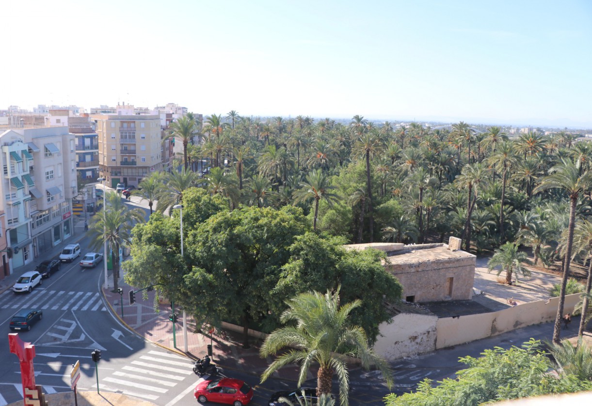 New Build · GROUND FLOOR APARTMENT · Elche