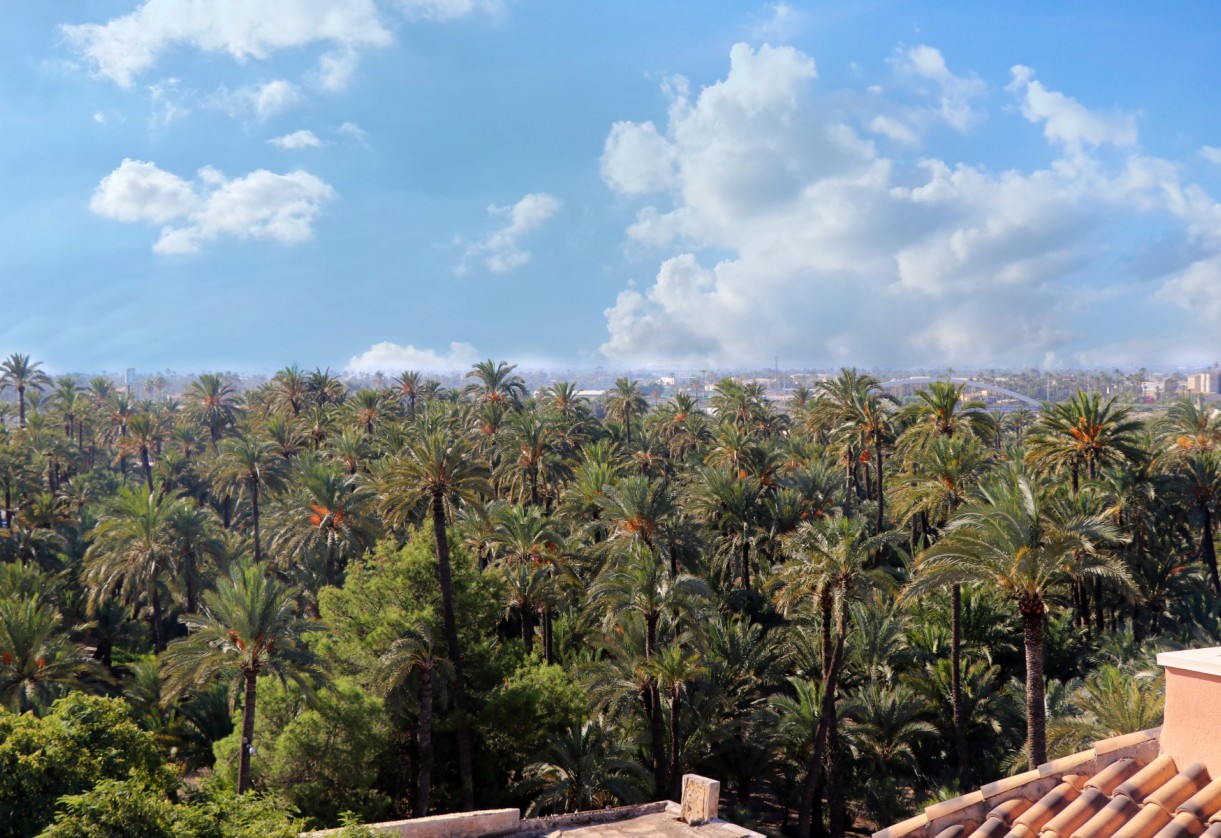 New Build · GROUND FLOOR APARTMENT · Elche