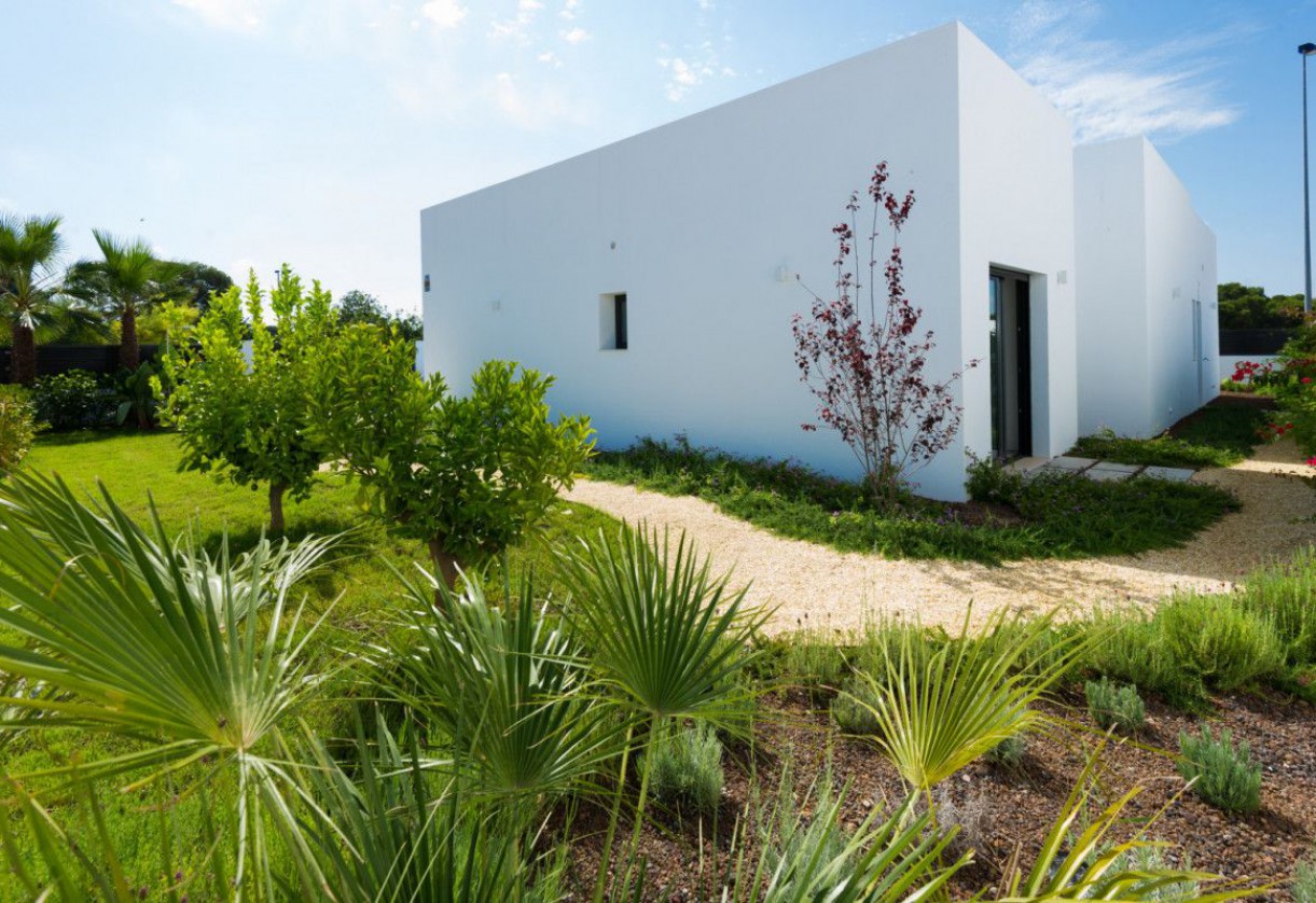 Nueva construcción  · Villas · Pilar de la Horadada · PILAR DE LA HORADADA