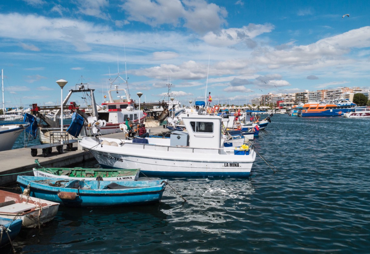 Rynek pierwotny · Apartment · Gran Alacant