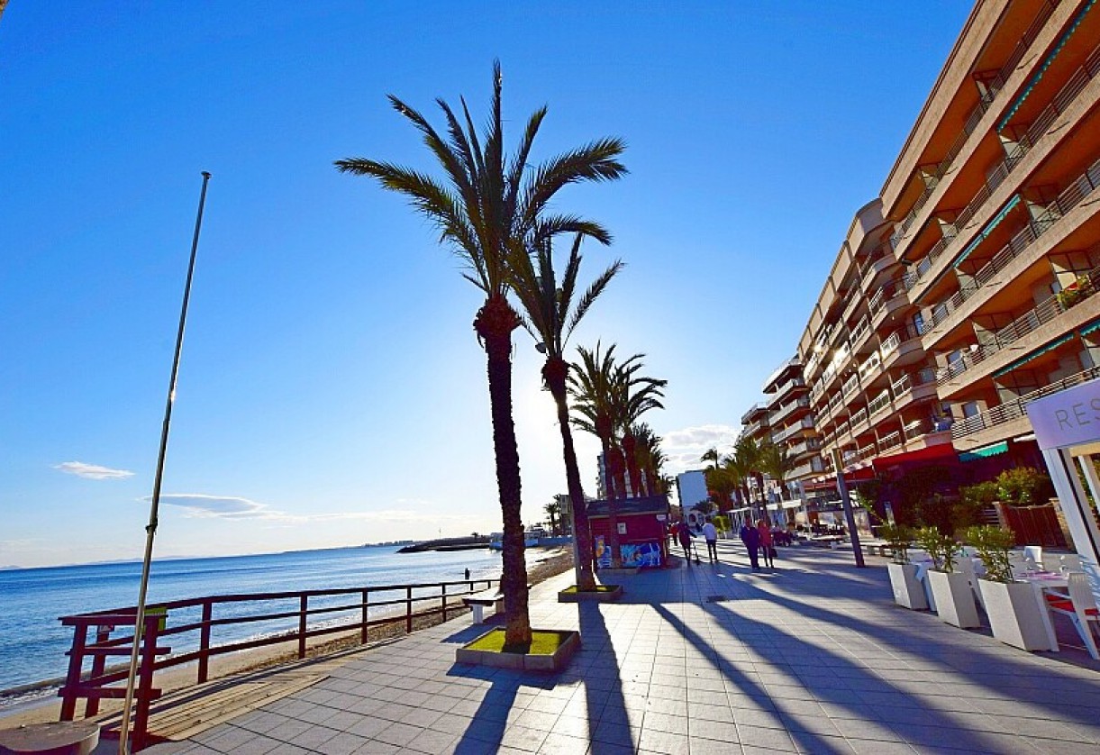 Reventa · Land · Torrevieja · Paseo de Torrevieja