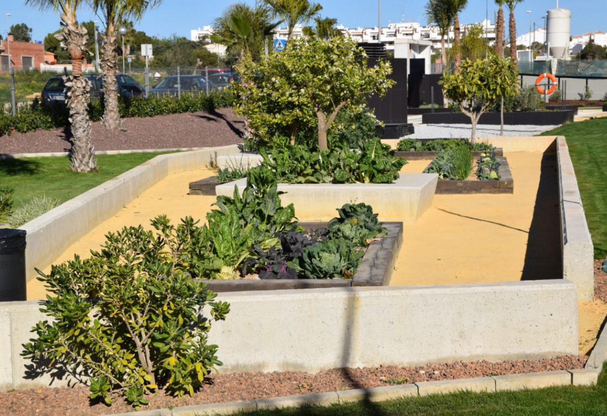 Rynek pierwotny · Apartments · Orihuela Costa